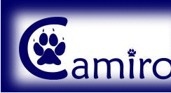 Camiro Logo