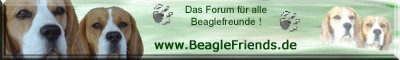 logo_beaglefriends